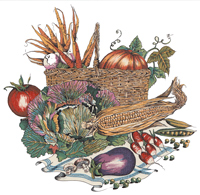 Basket of Vegetables Mural - Eggplant, corn, radish, cabbage, carrots, pumpkins, peas, tomato, turnips, mushroom