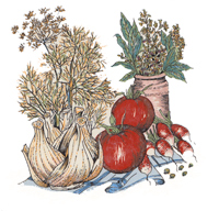 Vegetables, radish, garlic, tomato, herbs