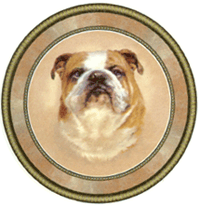 Dog Bulldog