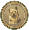 Dogs Yorkie