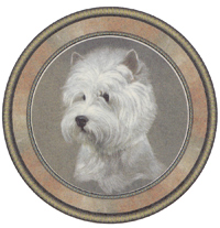 Dog WESTIE HIGHLAND WHITE TERRIER