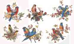 PAIRED BIRDS SET 6 PIECE