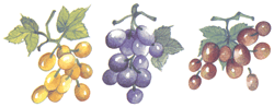 Grapes Set 3 piece