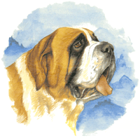 Dogs St Bernard