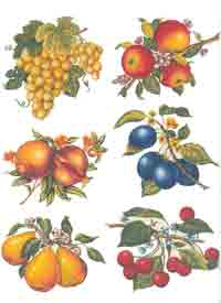 Pears, Cherries, Grapes, Plums, Pomegranate, Apples