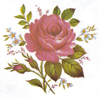 Pink Rose - See Size E for correct color when fired