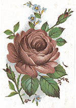 Pink Rose - See Size E for correct color when fired