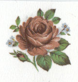 Pink Rose Bit - See Size E for correct color when fired