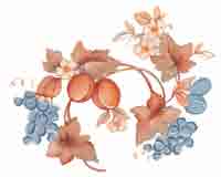 Blue and Brown Fruit Listello Sheet of 4