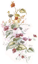Roses and Lilies