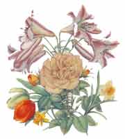 Rose, Lily, Daffodil, Tulip Bouquet