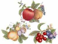 Fruit Accent - Apples, Blue Berries, Pears, Cherries, Plums