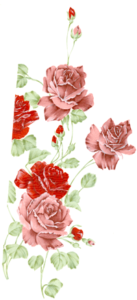 RUBY RED ROSE MURAL