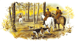 Fox Hunt