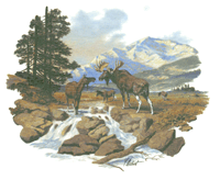 Moose Scene