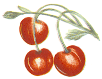 Cherry - Cherries