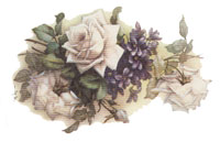 White Roses and Violets