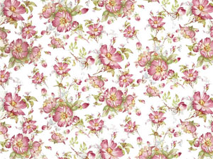 Overall Design - Rambling Rose Chintz