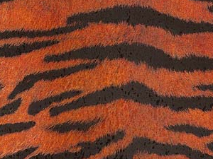 TIGER  ANIMAL SKIN