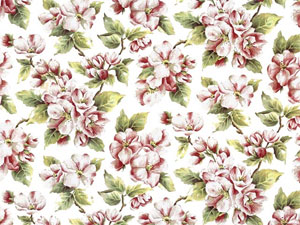 Apple Blossom Chintz