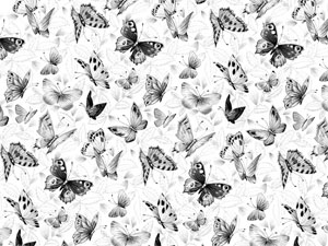 Overall Design - BLACK & WHITE BUTTERFLIES Chintz