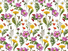 Overall -Country Wildflower Chintz