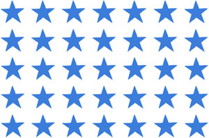 Overall Design - Blue Star Chintz