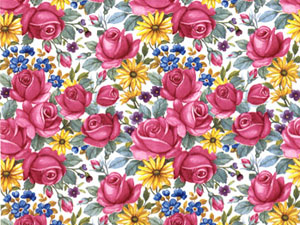 Roses Design Overall Chintz