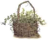 Ivy Basket Mural