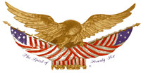 Spirit of America Eagle Flag