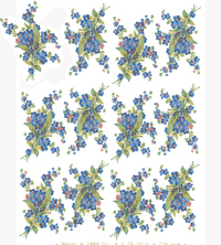 Forget Me Knots