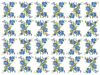 Forget Me Knots