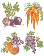 Veggies - Carrots, Grapes, Beets, Peach