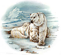 Polar Bear