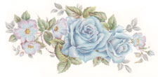 Blue Champagne Rose