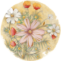 Tahiti - Daisy/Daisies, Pink with Gold, White