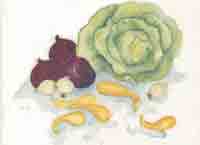 Lettuce, Red Onions, Squash