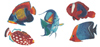 Tropical Fish - 5 pc. set