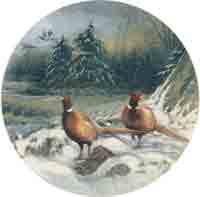 Pheasant Scene