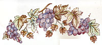 Fruit - Grapes Border