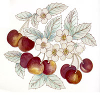 Fruit - Cherry, Cherries with Blossoms