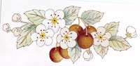 Fruit - Cherry, Cherries with Blossoms