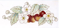 Fruit - Cherry, Cherries with Blossoms