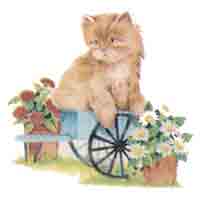 KITTEN WITH CART