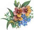 Yellow and blue flowers