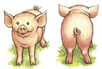 Piggie Scenes - 2 PC SET