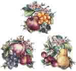 Frutta Accents Bits Pears, Oranges, Grapes, Apples, Cherries Strawberries, Flowers