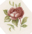 Rose Flower Bits