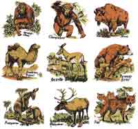 Orangutan, Chimpanzee, Bison, Camel, Gazelle, Brown Bear, Kangaroo, Reindeer, Fox