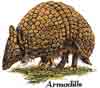 ARMADILLO